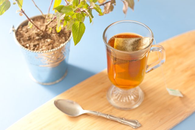鼠尾草茶