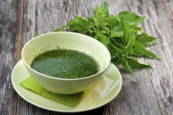 荨麻茶