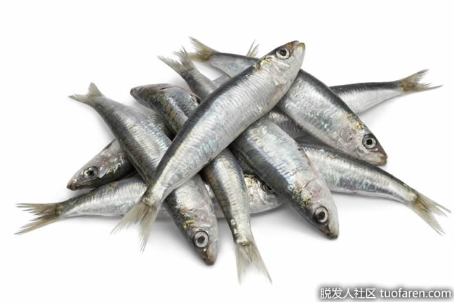沙丁鱼油富含omega-3脂肪酸。