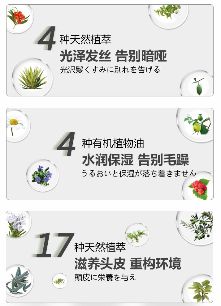 未命名-4.jpg