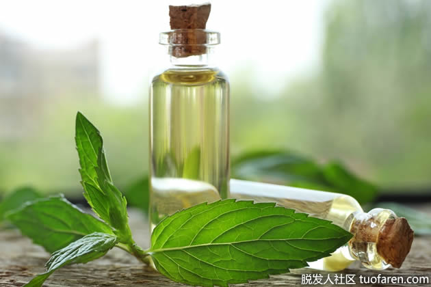 薄荷精油