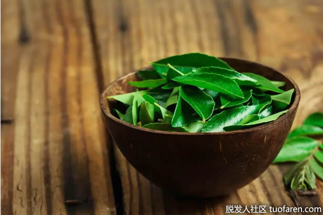 咖喱叶发膜