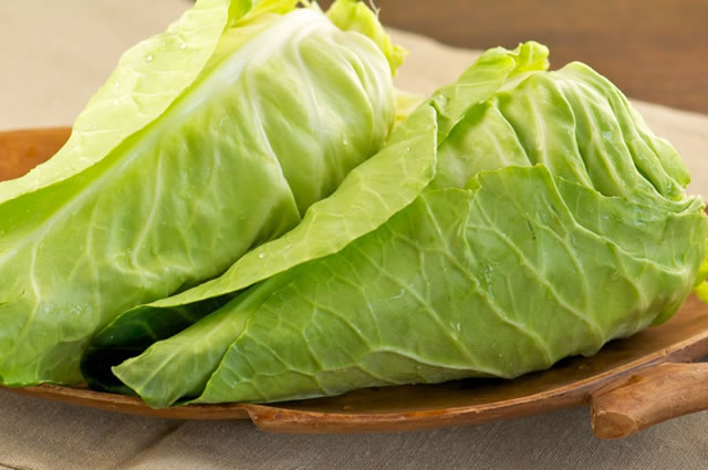 卷心菜