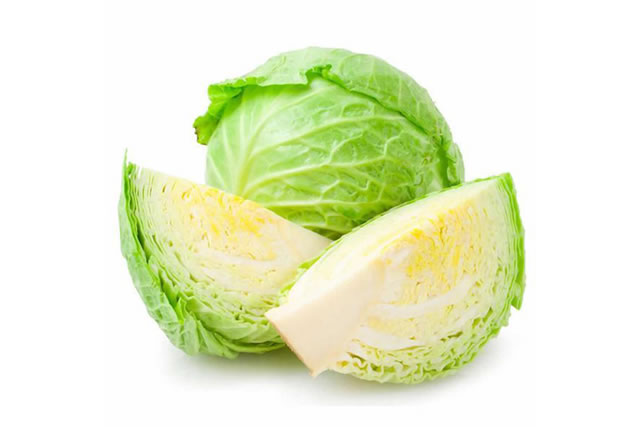卷心菜