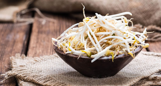 绿豆芽