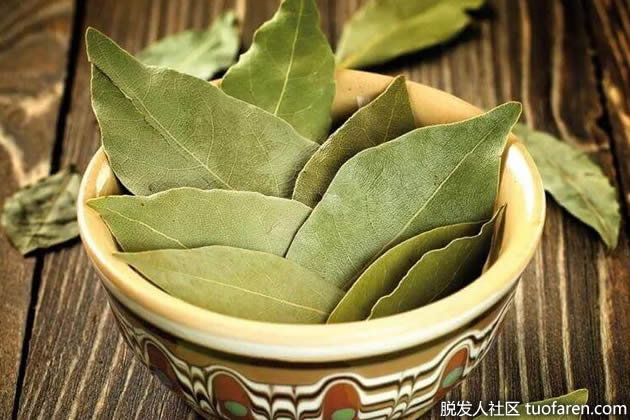 月桂叶