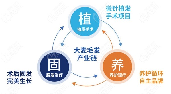 大麦微针植发的植养固体系