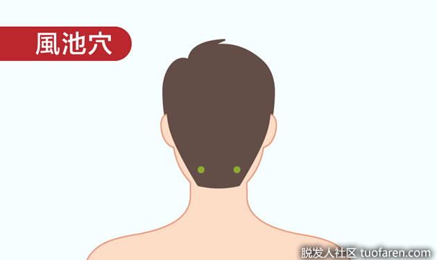 风池穴