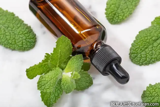 薄荷油是最流行的去头屑油。