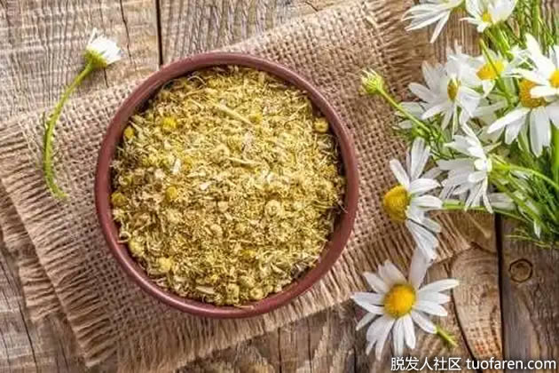 洋甘菊洗发水