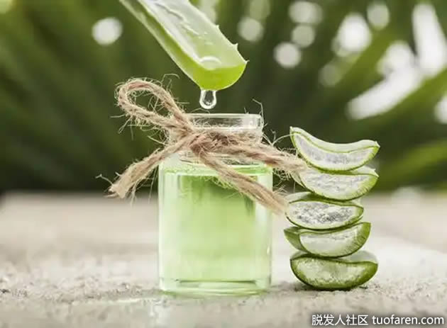 芦荟