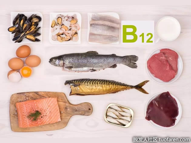 含维生素 B12 的食物