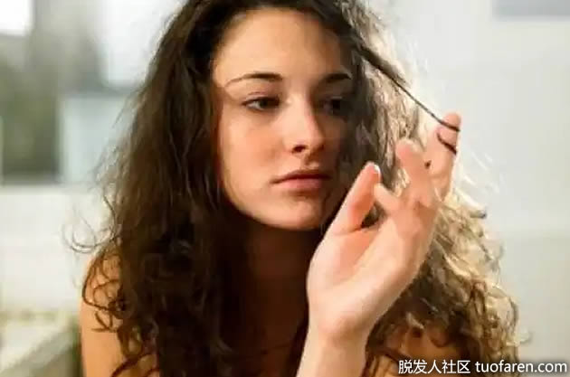 橄榄欧护理卷发