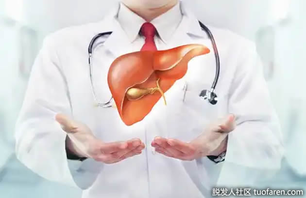 绿茶肝脏健康保护