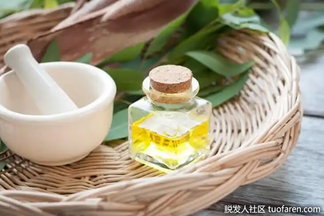 桉树精油